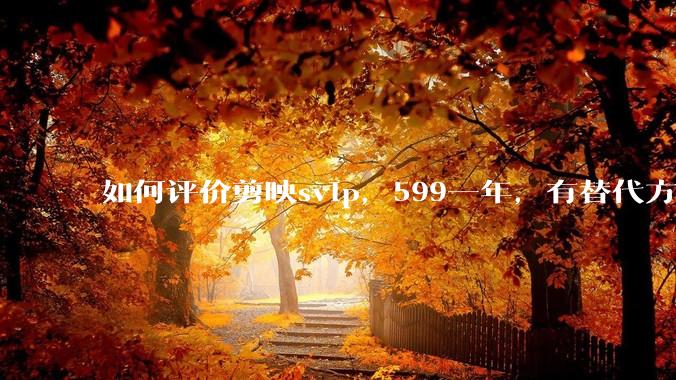 如何评价剪映svip，599一年，有替代方案吗？
