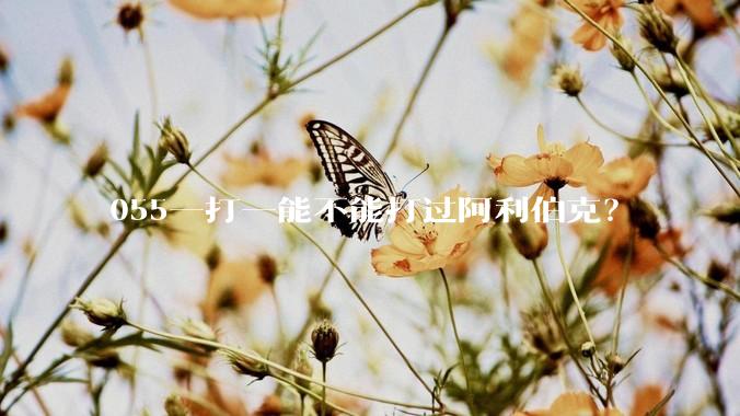 055一打一能不能打过阿利伯克？