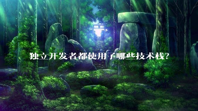 独立开发者都使用了哪些技术栈？